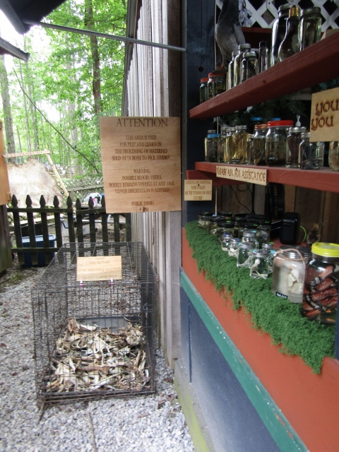 vendor261102.jpg