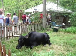 Filename=misc180301.jpg
Filesize=854KiB
Dimensions=2000x1500
Date added=Sep 04, 2022 misc180301.jpg