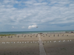 dday17067.jpg