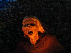 Filename=randy082.jpg
Filesize=286KiB
Dimensions=2061x1546
Date added=Nov 01, 2022 randy082.jpg