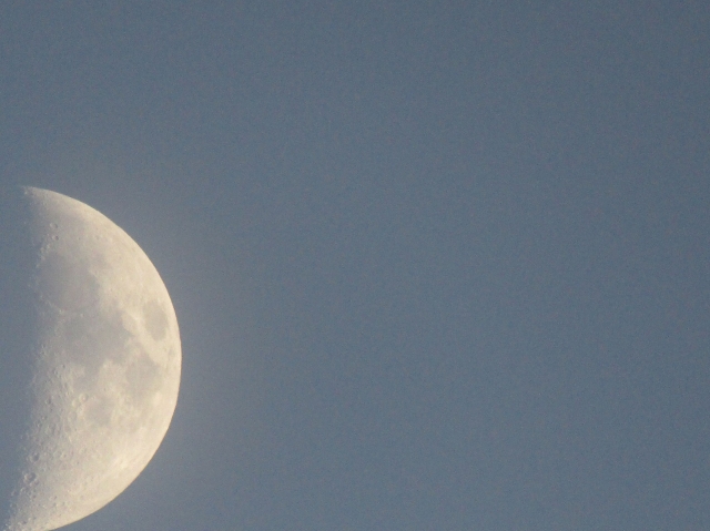 halfmoon4.jpg