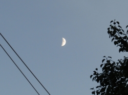 halfmoon1.jpg