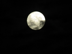 moonapril2105.jpg