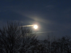 novmoon01.jpg