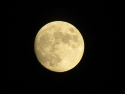 novmoon08.jpg