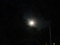 augmoon01.jpg