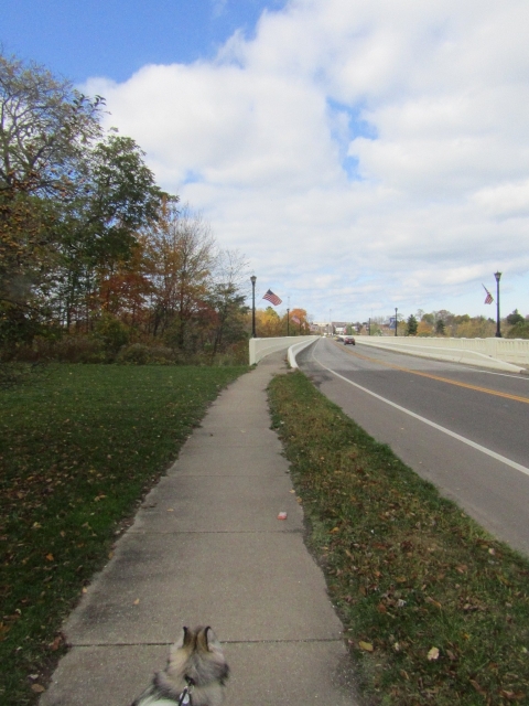 fall202009.jpg