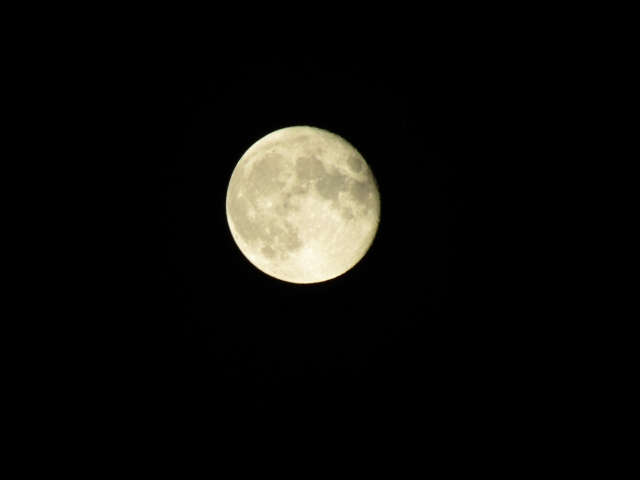 moon602.jpg