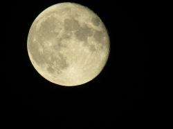 moon604.jpg