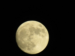 Filename=moonthank09.jpg
Filesize=1048KiB
Dimensions=3000x2249
Date added=Oct 25, 2022 moonthank09.jpg