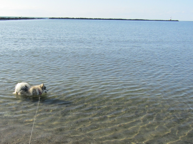 beach4.jpg