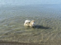 beach5.jpg