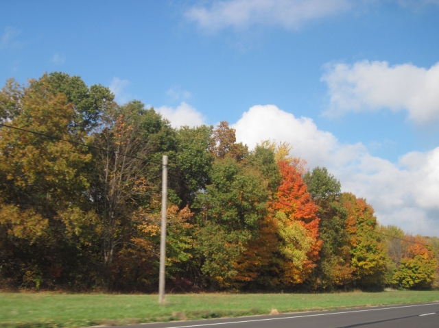 fall15007.jpg