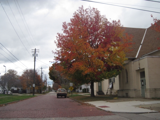 fall15015.jpg