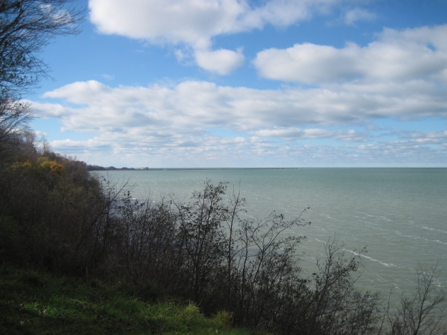 IMG_8241.JPG
