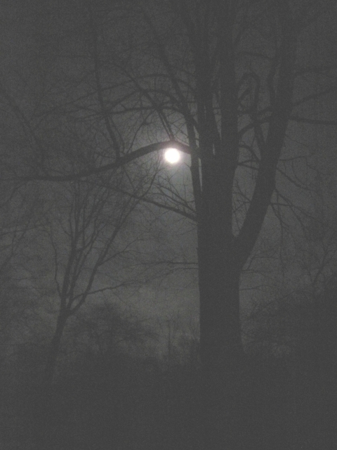 moon1103201.jpg