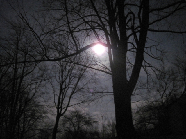 moon1103202.jpg