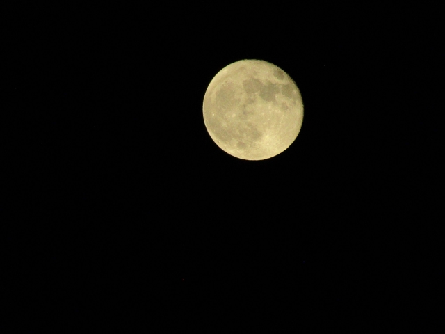moon102101.jpg