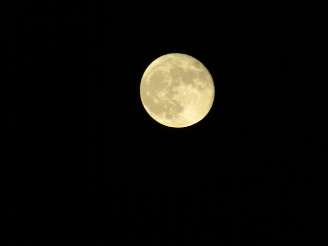 moon102102.jpg