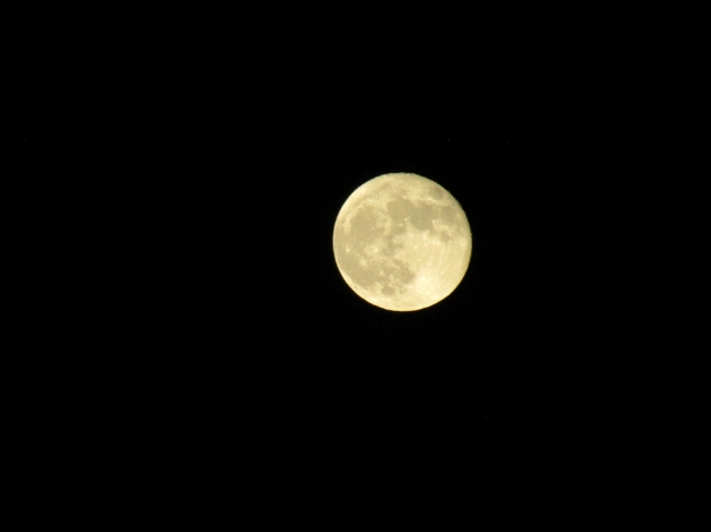 moon102103.jpg