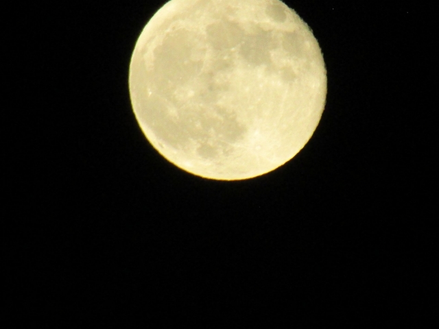 moon102104.jpg