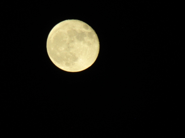 moon102105.jpg