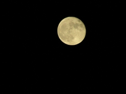 moon102101.jpg