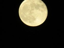 moon102104.jpg
