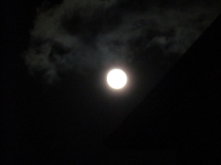 moon102106.jpg