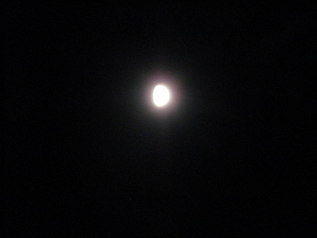 moon122101.jpg