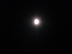 moon122101.jpg
