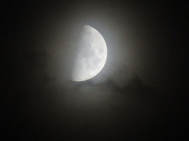 moon112101.jpg