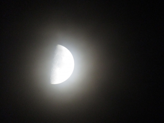 moon112102.jpg