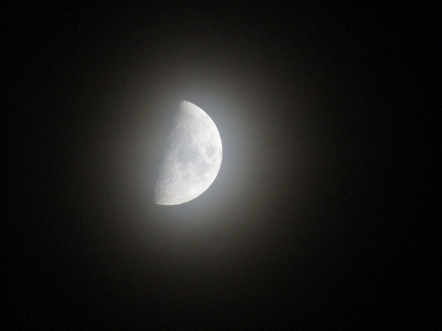 moon112103.jpg