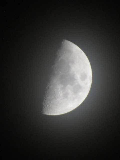 moon112105.jpg