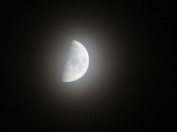 moon112103.jpg