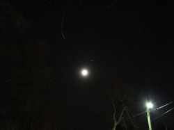 moon112104.jpg