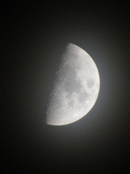 moon112105.jpg