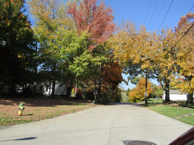 fall004.jpg