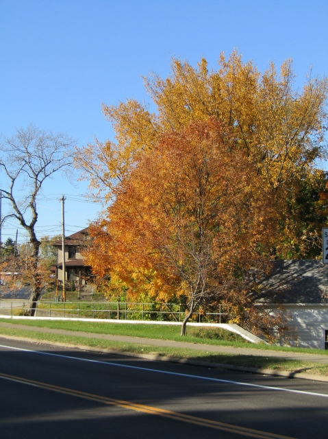 fall071.jpg