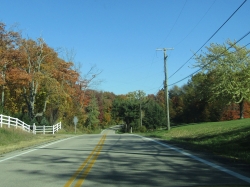 fall010.jpg