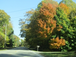 fall012.jpg