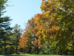 fall015.jpg