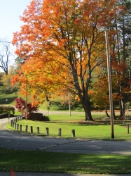 fall016.jpg