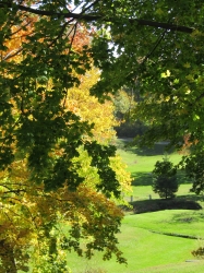 fall024.jpg